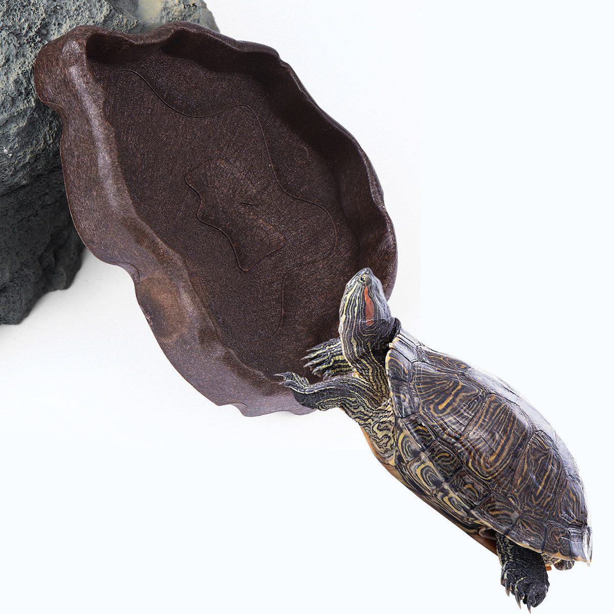 Water Dish Reptile - Miseczka z żywicy na karmę dla