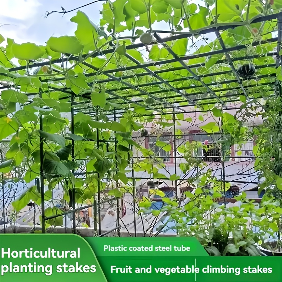 Vine Climbing Plastic - Zestaw antykorozyjnych ram do pnączy warzywnych