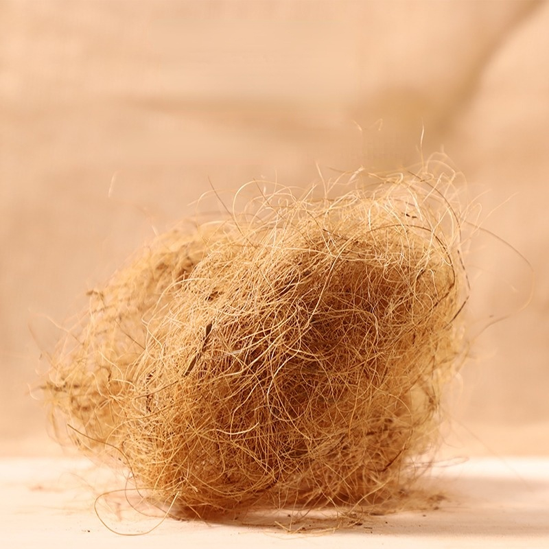 Substrate Coconut Fiber - 100g Finch Włókno kokosowe Luźne podłoże