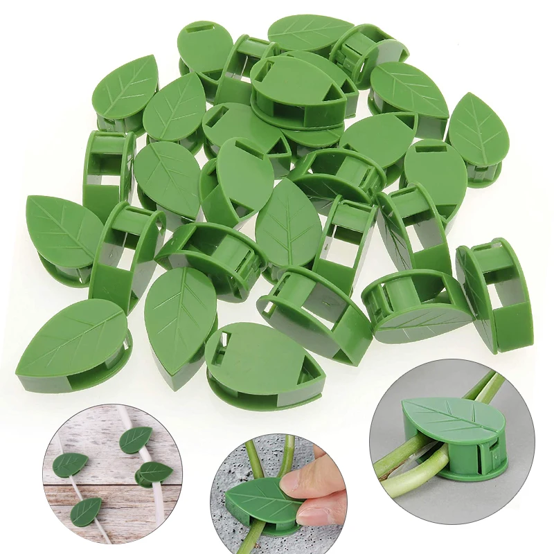 1-50 sztuk niewidoczne urządze – Vine Climbing Plastic recenzja i cena