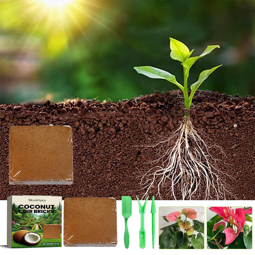 Gady Gleba Kokosowa Coir Włókn – Substrate Coconut Fiber recenzja i cena