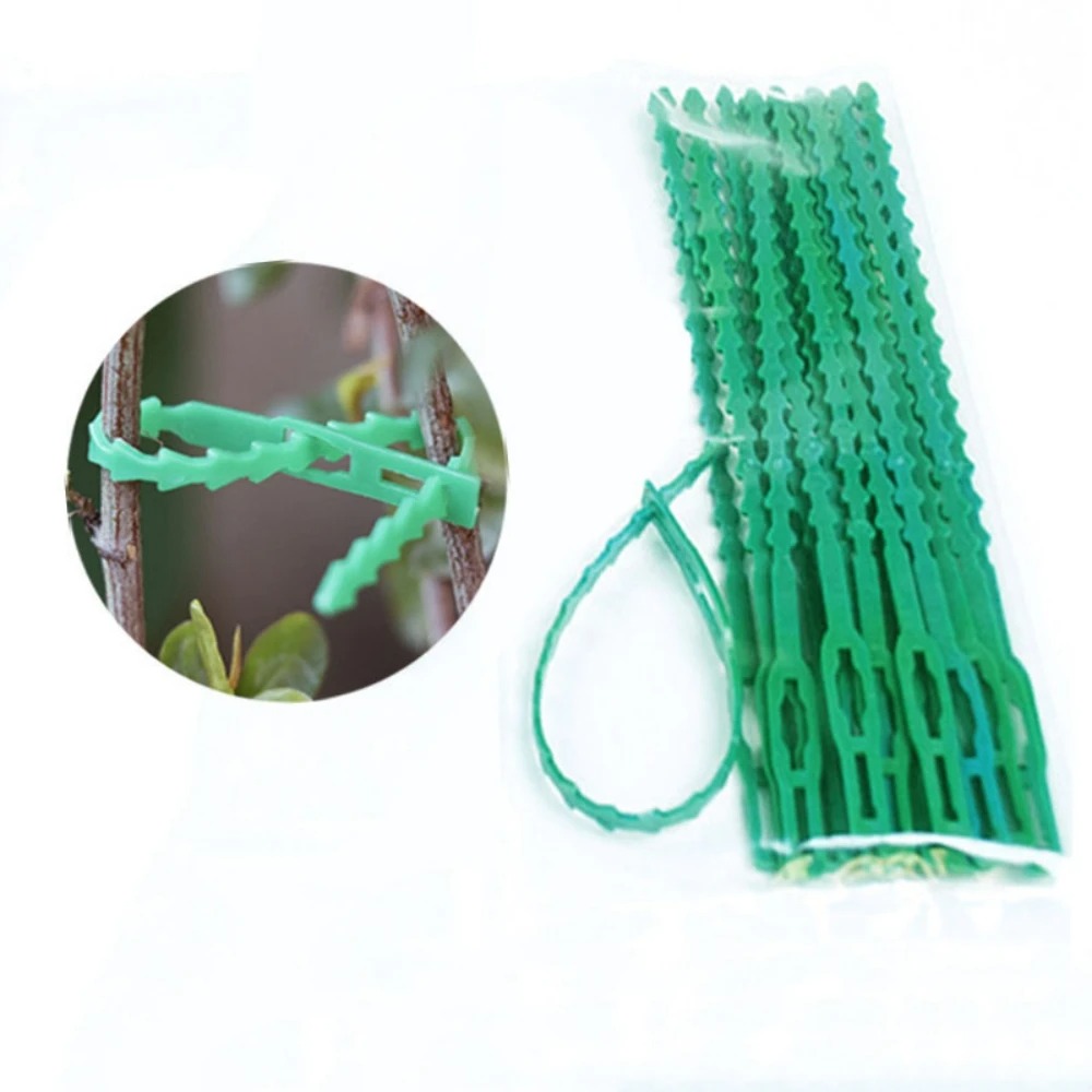 50 szt. Regulowane plastikowe  – Vine Climbing Plastic recenzja i cena