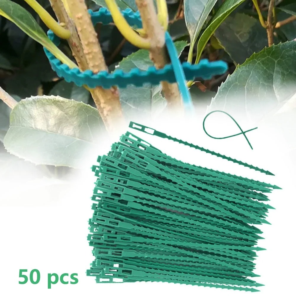 50 szt. Regulowane plastikowe  – Vine Climbing Plastic recenzja i cena