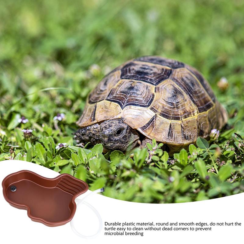 Naczynie do karmienia żółwiów  – Water Dish Reptile recenzja i cena