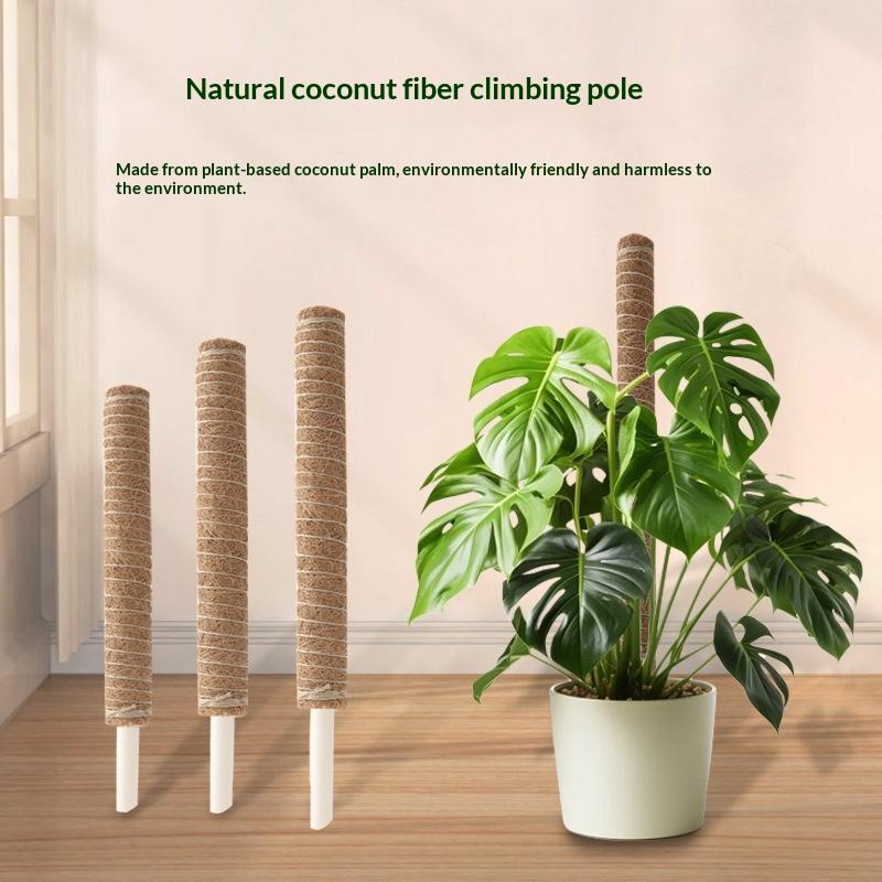 1 szt. Pręt do podtrzymywania  – Vine Climbing Plastic recenzja i cena