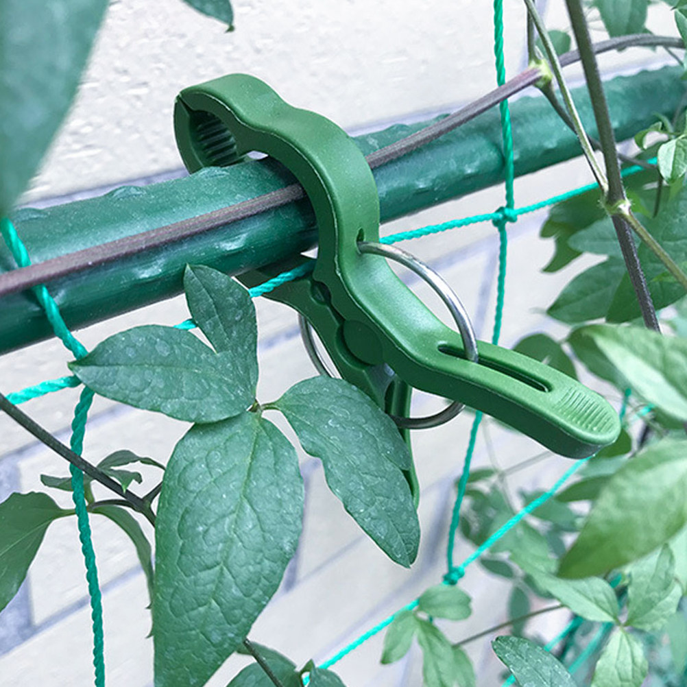 60 szt. plastikowych klipsów d – Vine Climbing Plastic recenzja i cena