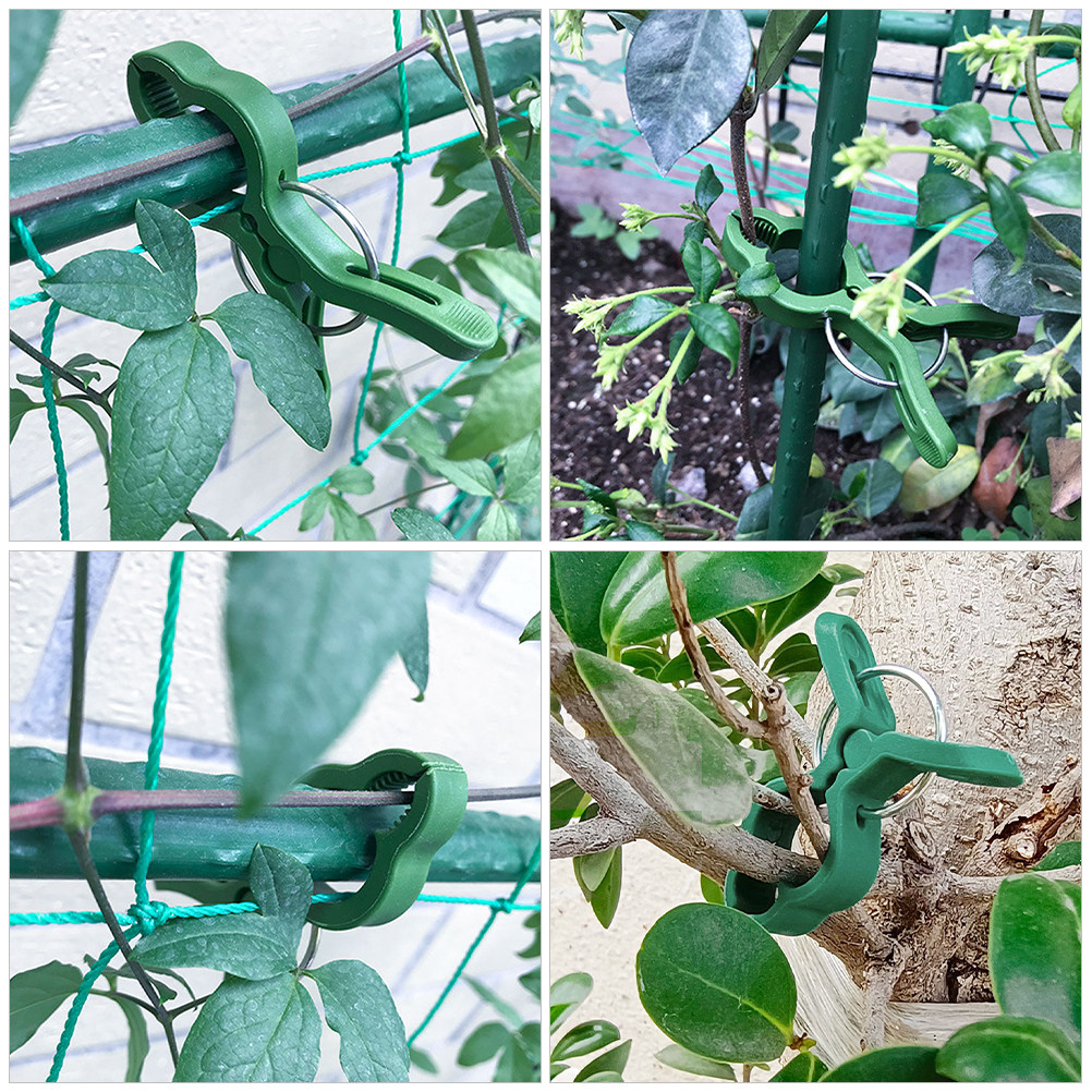 60 szt. plastikowych klipsów d – Vine Climbing Plastic recenzja i cena