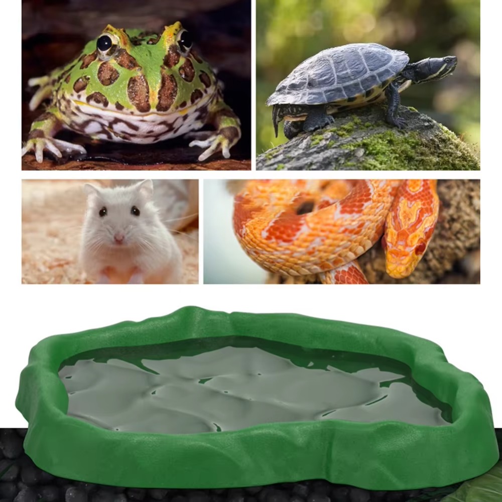 Miseczka na karmę dla gadów z  – Water Dish Reptile recenzja i cena