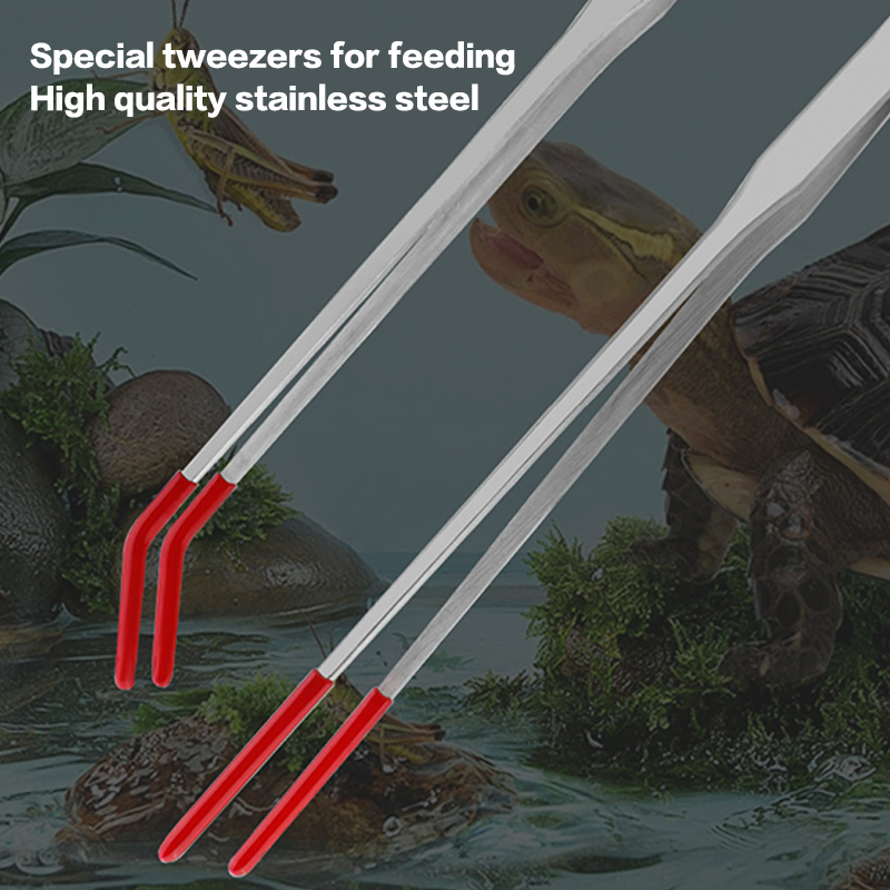 Szczypce do karmienia gadów z  – Feeding Tong Stainless recenzja i cena
