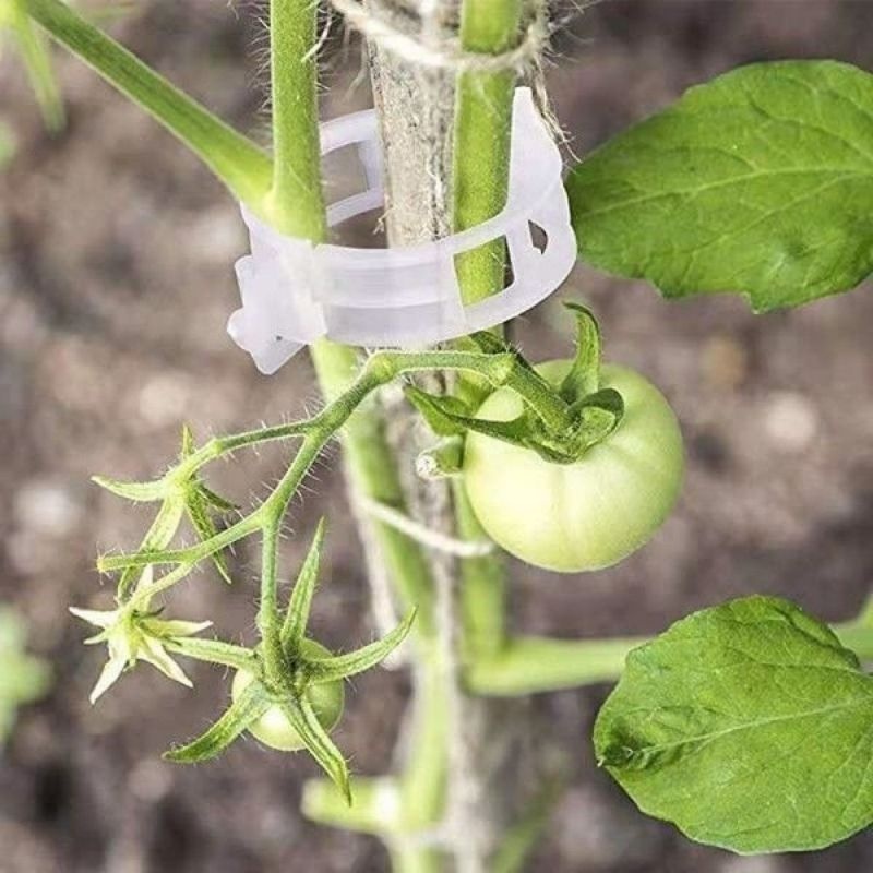Plastikowe klipsy do podtrzymy – Vine Climbing Plastic recenzja i cena