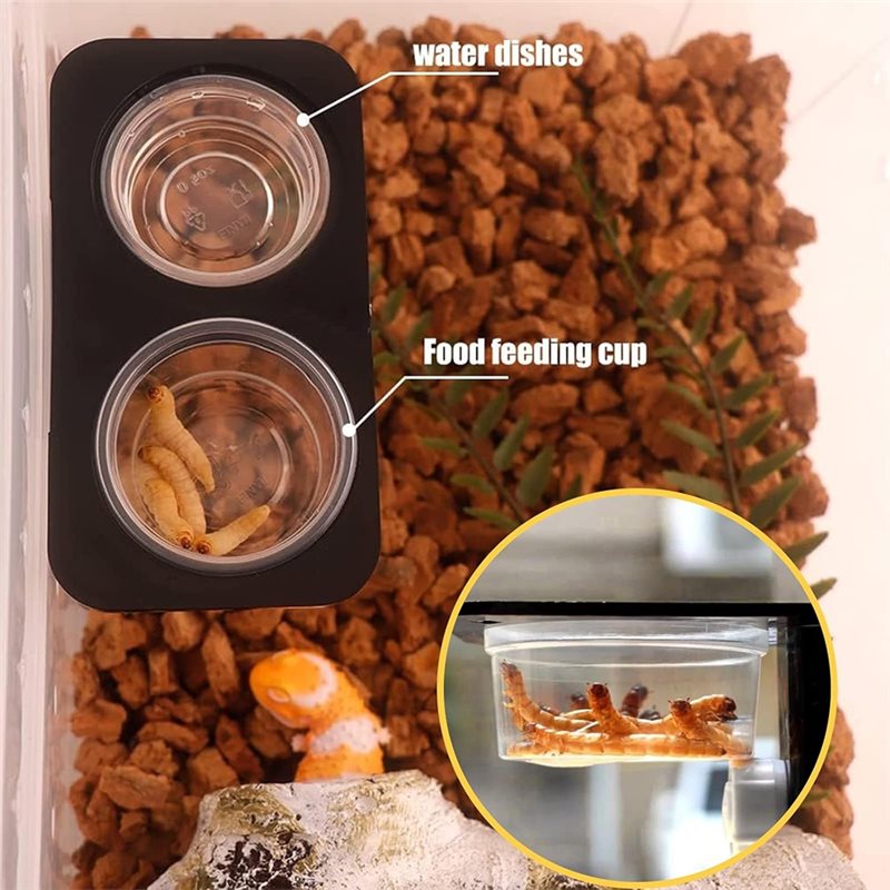 Pojemniki na karmę i wodę dla  – Water Dish Reptile recenzja i cena
